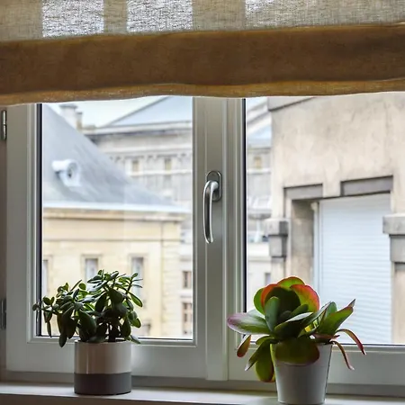 Les Berceaux De La Cathedrale Apartment Reims