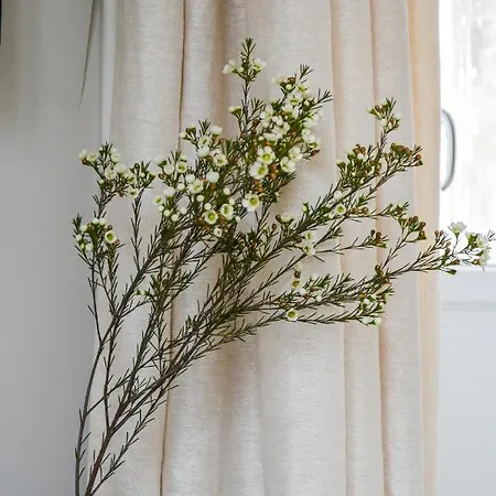 Apartment Les Berceaux De La Cathedrale Reims