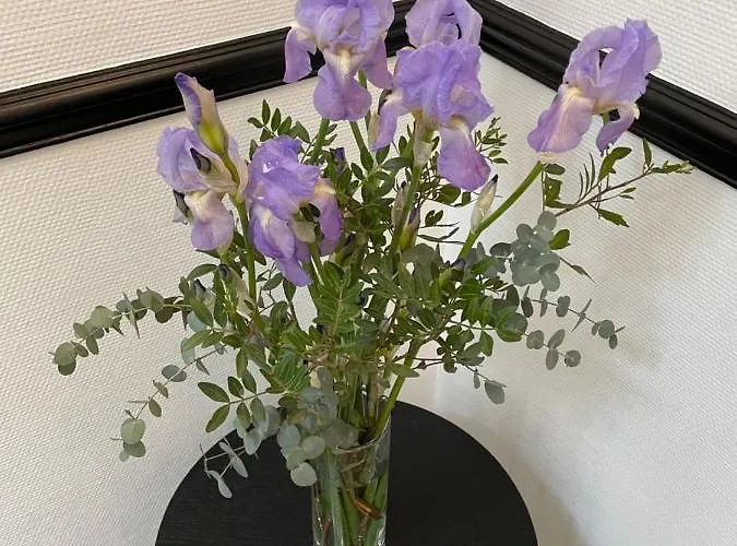 Les Berceaux De La Cathedrale Apartment Reims