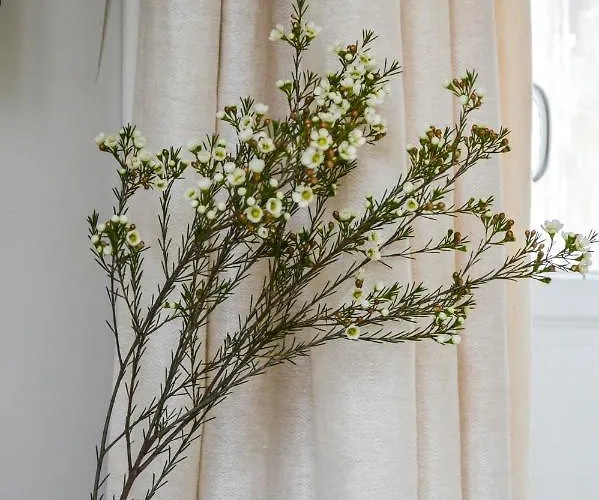 Apartment Les Berceaux De La Cathedrale Reims