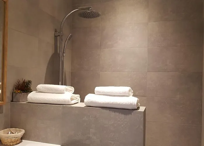 Les Berceaux De La Cathedrale *