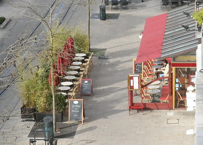 Les Berceaux De La Cathedrale Reims